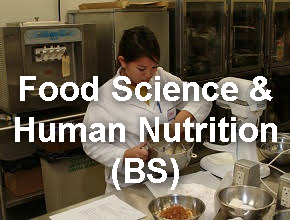 Foods Science Lab