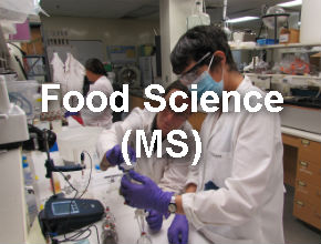 Food Science Lab
