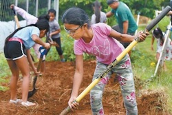 Getting Their Hands Dirty