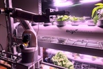 Thinking-Outside-the-Box Farm
