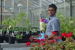 Your Favorite Plant Disease