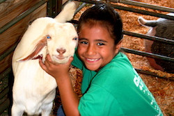 4-H for Health