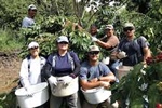 Better Harvests, Better Markets