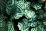 test title