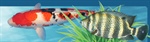 Working Together for Aquaculture