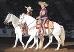 Go to the Rodeo