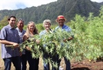 Help With Hemp
