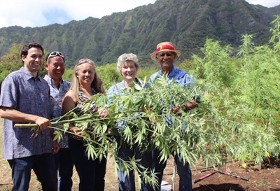 Help With Hemp
