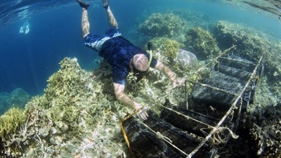 New Grant for Sea Grant