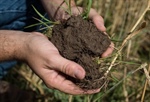 Get Schooled in the Dirt