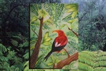 For the Birds