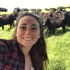 Local Ag and the Environment