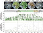 No “Clouded” Judgments From Geostationary Satellite