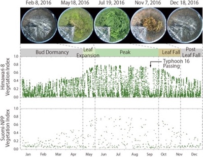 No “Clouded” Judgments From Geostationary Satellite
