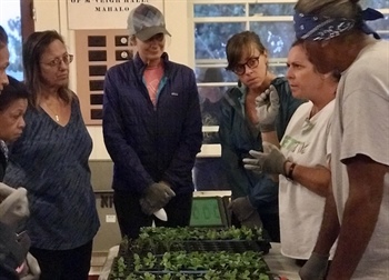 A Garden Grows in Kalaupapa