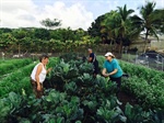 Calling All Growers