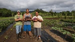 Resources for Selling and Buying Local Produce