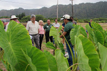 A Waimanalo Welcome