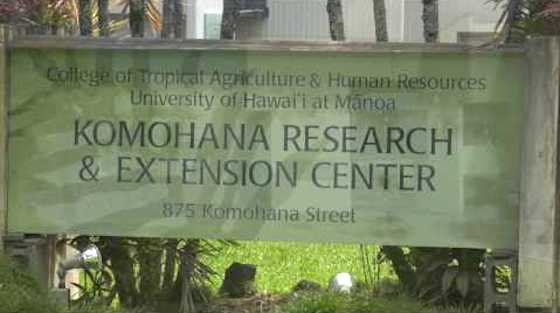 Big Island Extension and Research Stations Go to Remote Assistance