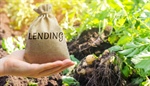 Help for Economic Woes