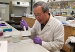 Excellence in Research