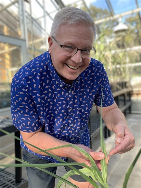 Shaping Plants