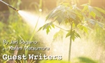 Potting Mix, Fertilizer, and Irrigation