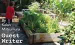 Put Your Garden to Bed