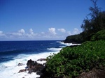 Coastal and Marine Resource Management