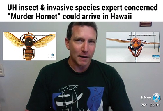 Decapitating Invaders!