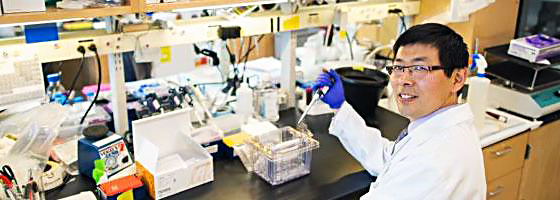 Promising Alzheimer’s Research