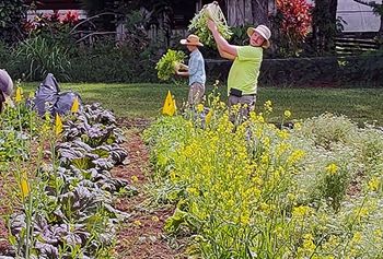 Vegetable Garden Isle