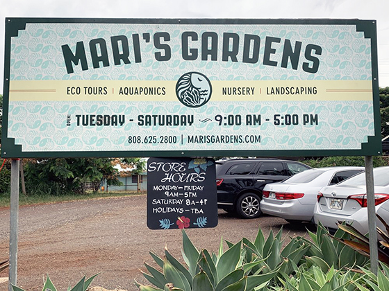 Mari's Gardens