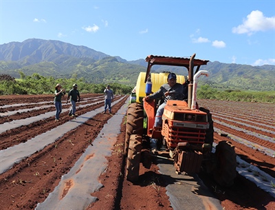 Integrated Pest Management