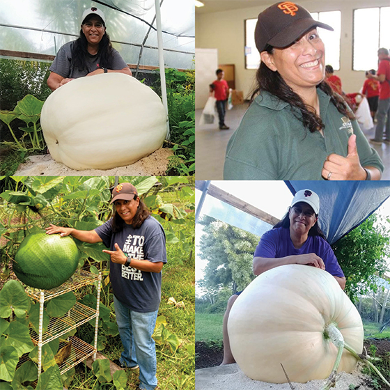 Collage of images of Becky with giant vegetables