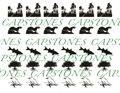 NREM Capstones