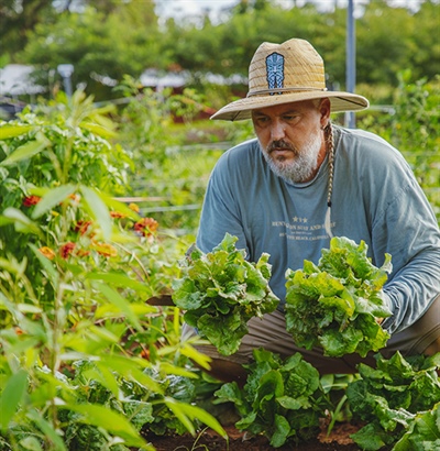 GoFarm Gets $1M
