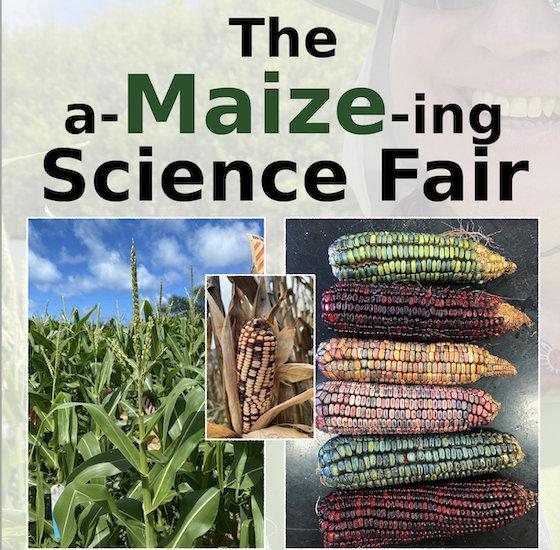 A-Maize-ing Science Fair