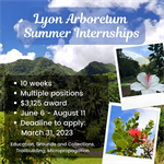 Internships are Open