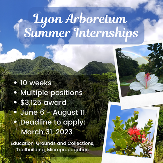 Internships are Open
