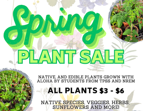Plant Sale!