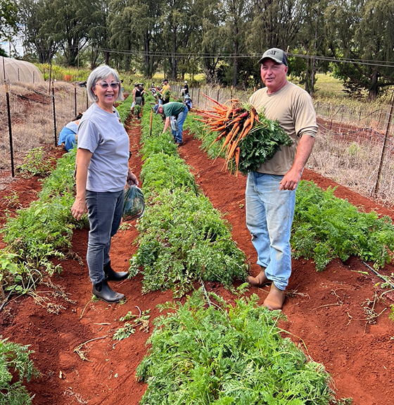 Carrots for Hawaiʻi