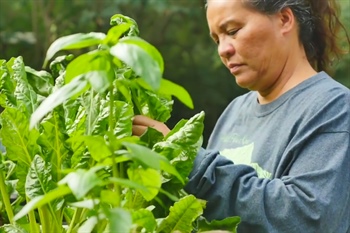Aquaponics and Health