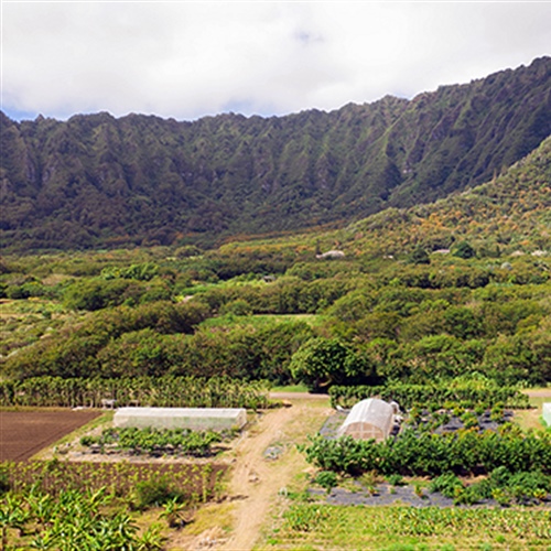 2022 Hawaiʻi Ag Census