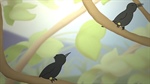 Music for the Birds