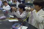 Wowed by Science