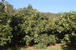 Making Life Better in Maui County