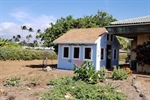 The Busy Bee House