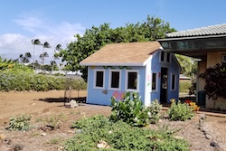 The Busy Bee House