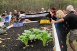 Food Safety in Aquaponics